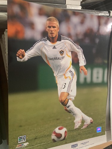 David beckham los angeles - beckham,