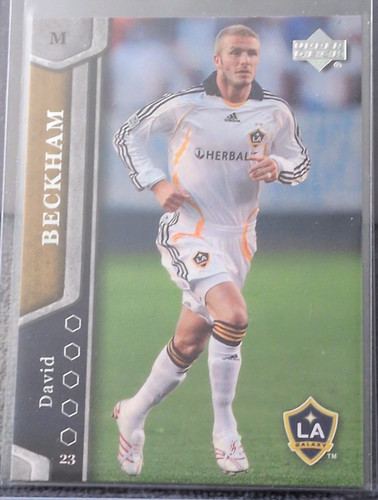 David beckham 2007 - david,