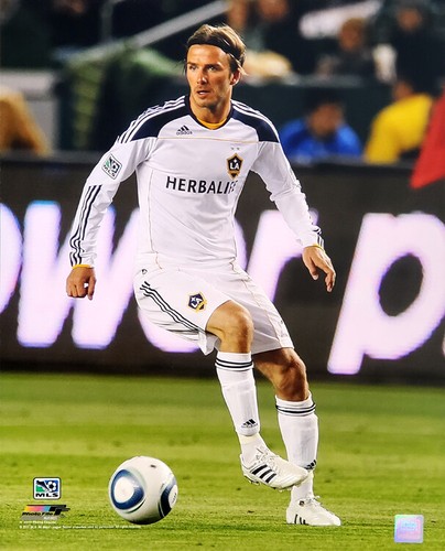David beckham los angeles - beckham,