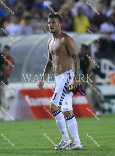 Gc872 david beckham - beckham, los