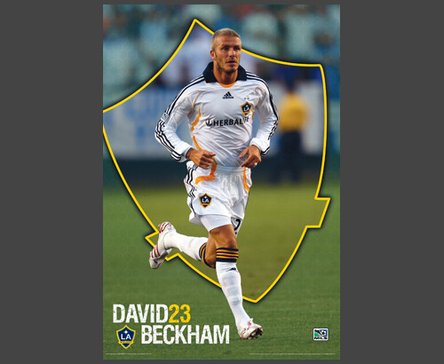 Poster parete david - poster,
