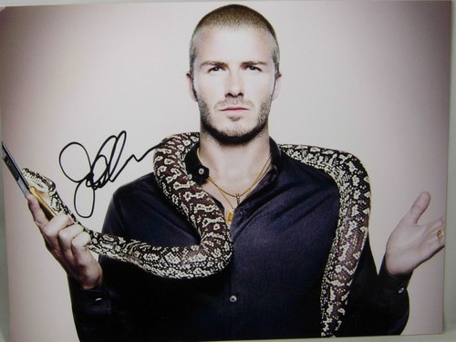 David beckham los angeles - beckham,